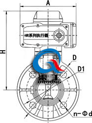 SD971電動塑料蝶閥 (外形尺寸圖)